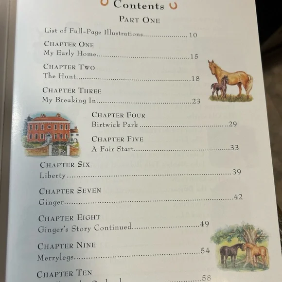 Black Beauty by Anna Sewell - Illustrated Edition - Picture 4 of 6